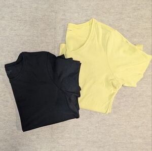 2 Pack! Elieen Fisher Oranic Cotton Basic Scoop Neck Ts Size Large